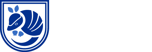 Texas Online Academy